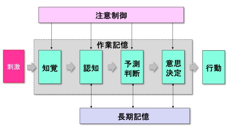 認知心理学と人間の情報処理 3 言語と理解